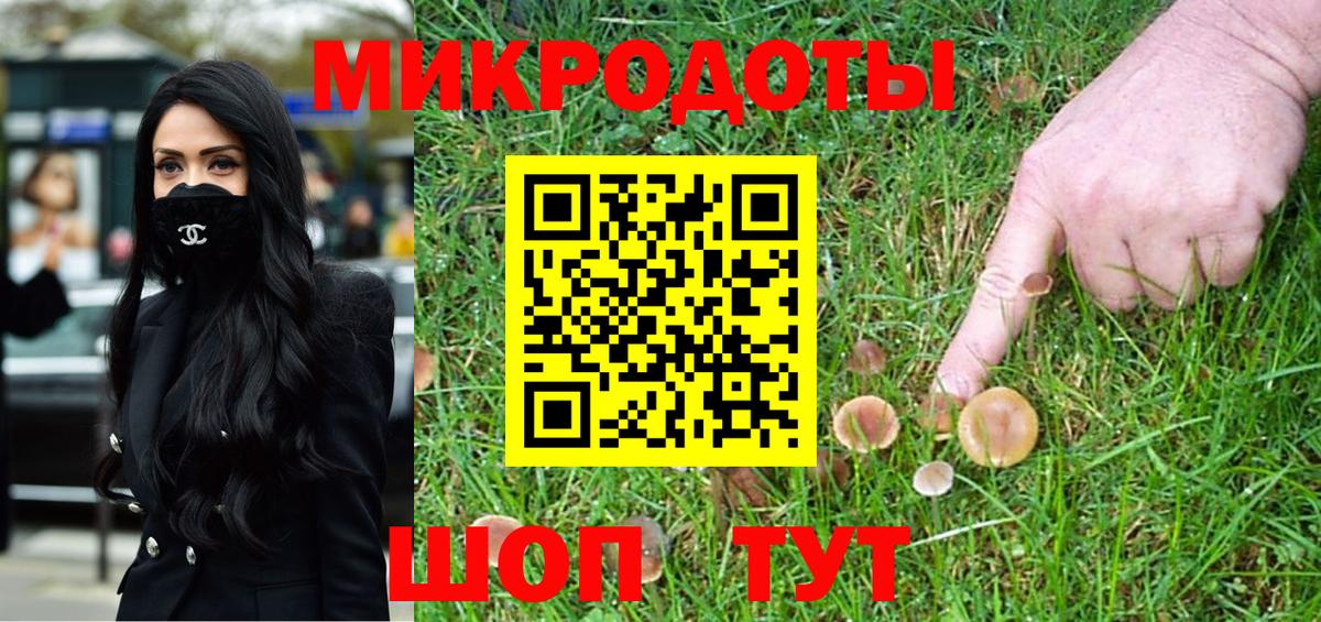 Псилоцибиновые грибы Psilocybe Жигулёвск