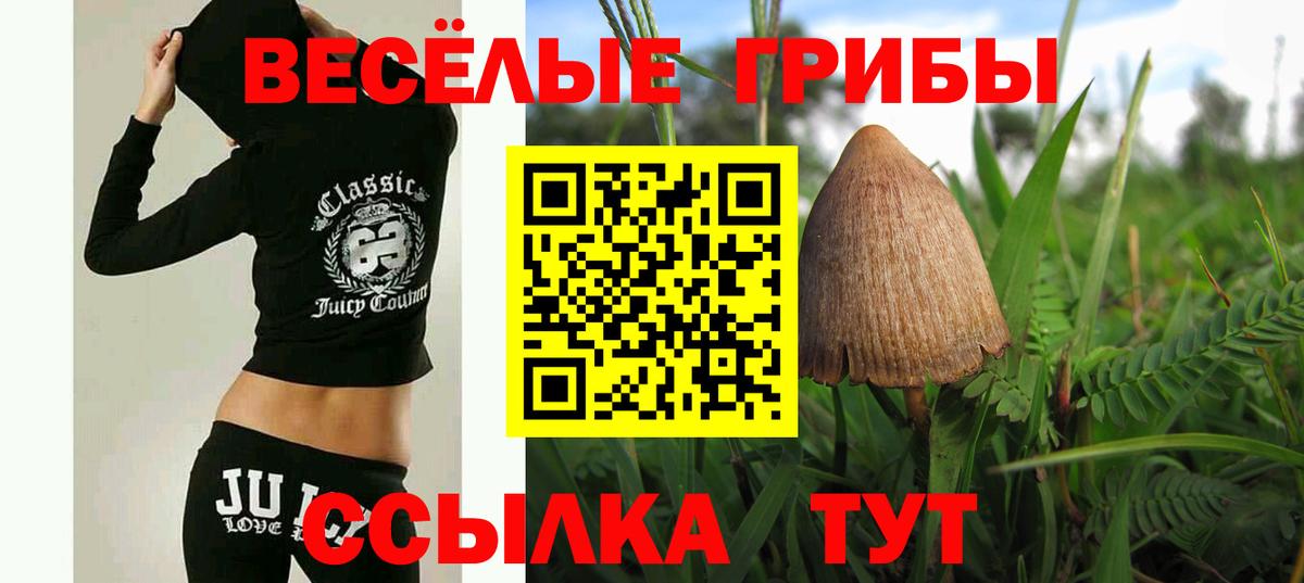 Жигулёвск  Псилоцибиновые грибы Cubensis  Галлюциногенные грибы прущие грибы  Вход с VPN 